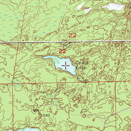 Topographic Map of Camp Lake, MN