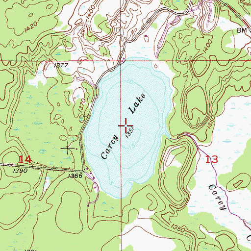 Topographic Map of Carey Lake, MN