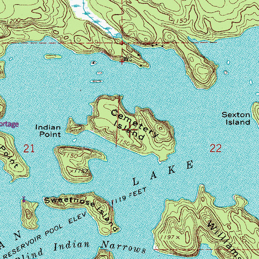 Topographic Map of Cemetery Island, MN