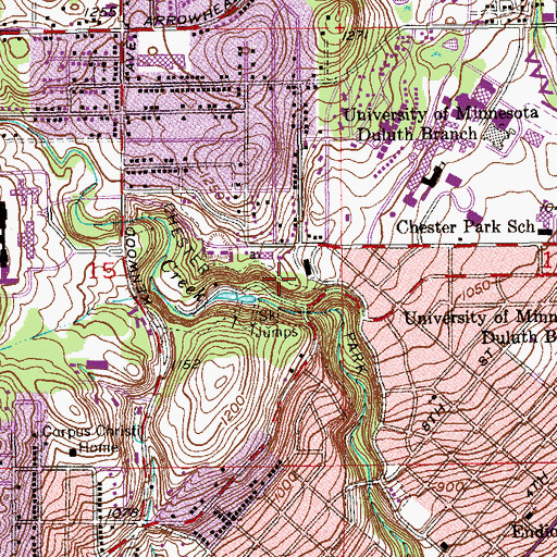 Topographic Map of Chester Park, MN