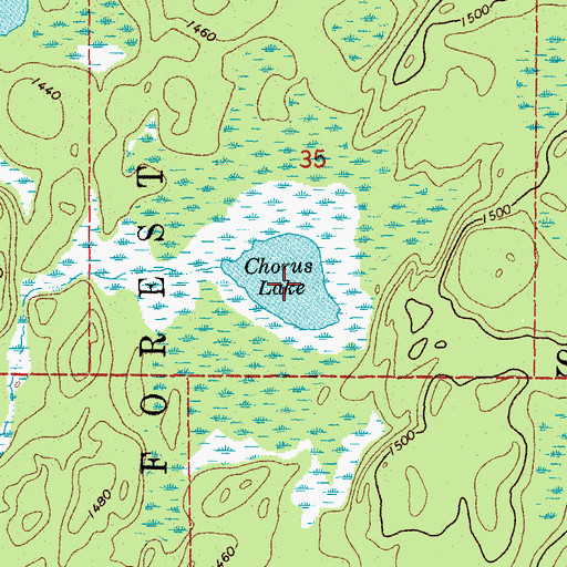 Topographic Map of Chorus Lake, MN