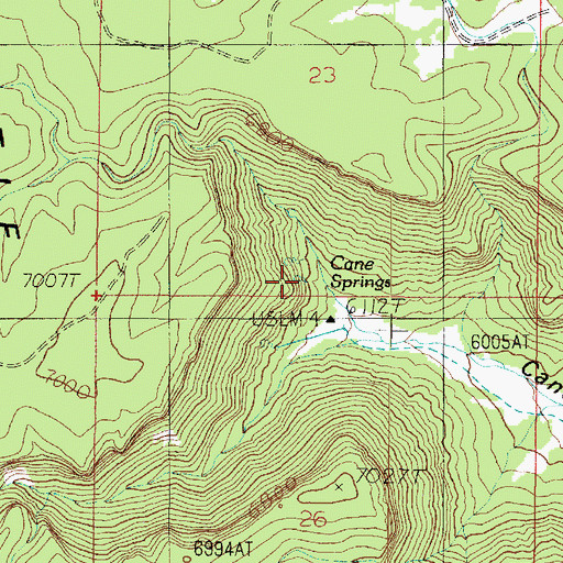 Topographic Map of Cane Springs, AZ