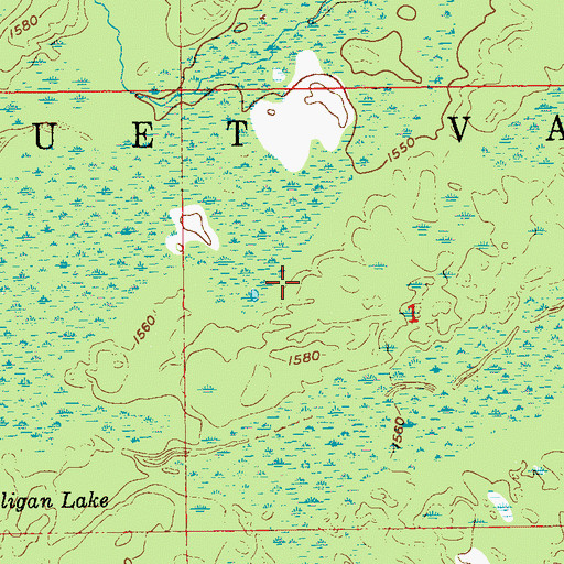 Topographic Map of Cloquet Valley State Forest, MN