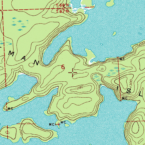Topographic Map of Coleman Island, MN