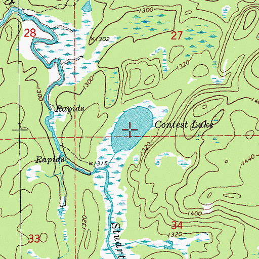 Topographic Map of Contest Lake, MN