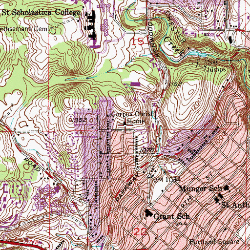 Topographic Map of Corpus Christi Home, MN