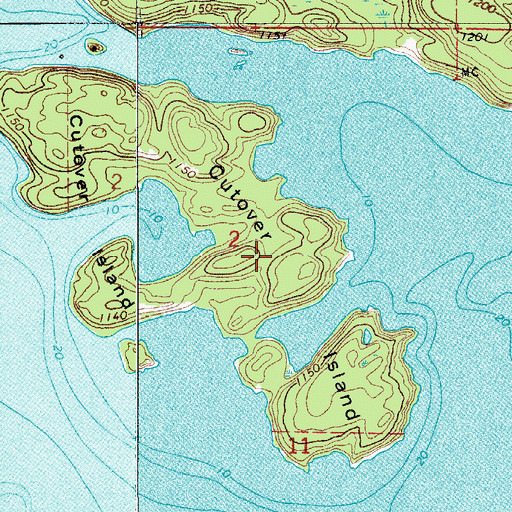 Topographic Map of Cutover Island, MN