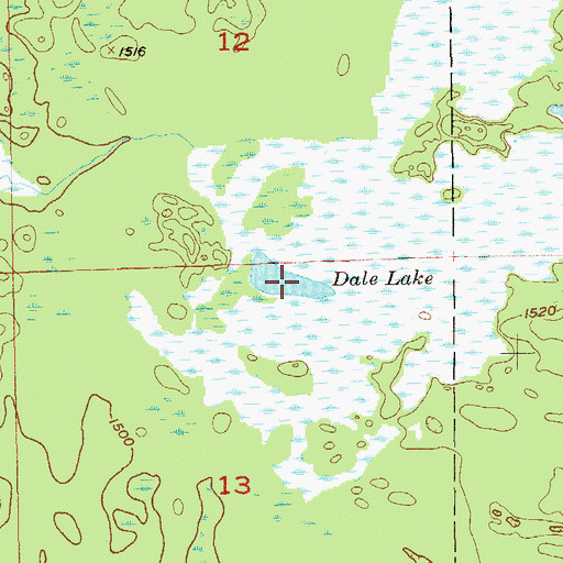 Topographic Map of Dale Lake, MN