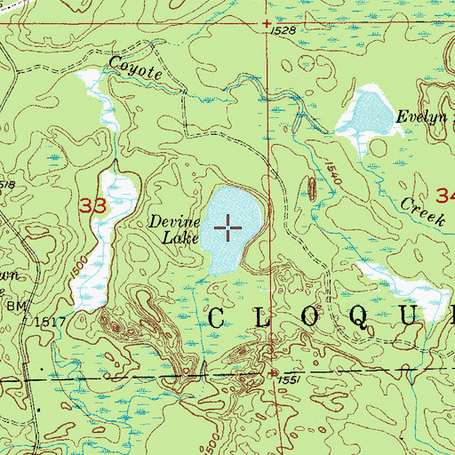 Topographic Map of Devine Lake, MN