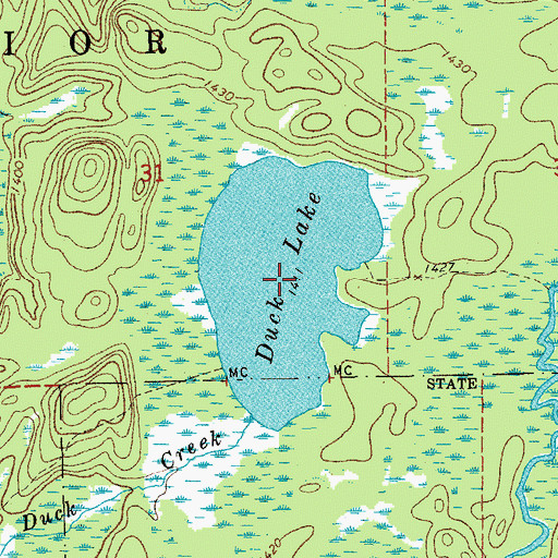 Topographic Map of Duck Lake, MN