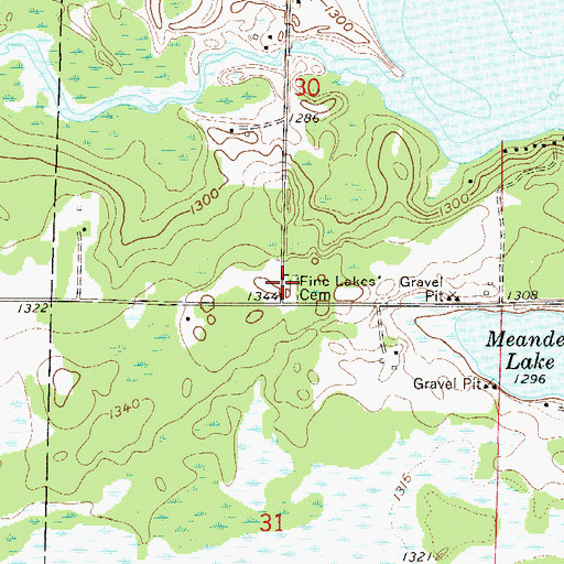 Topographic Map of Fine Lakes Cemetery, MN