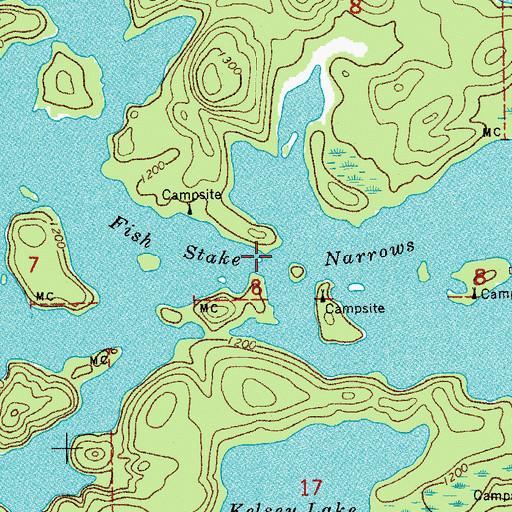Topographic Map of Fish Stake Narrows, MN