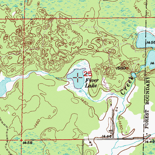 Topographic Map of Fiver Lake, MN