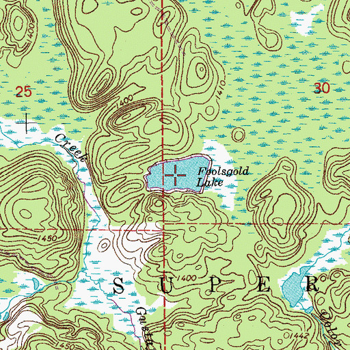 Topographic Map of Foolsgold Lake, MN