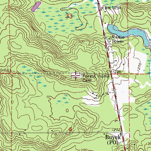 Topographic Map of Forest Home Cemetery, MN