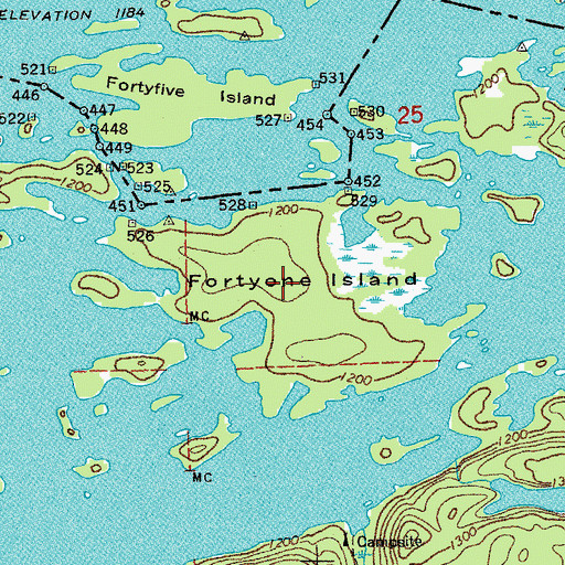 Topographic Map of Fortyone Island, MN