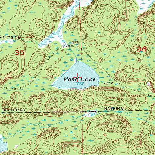 Topographic Map of Foss Lake, MN