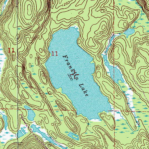 Topographic Map of Franklin Lake, MN