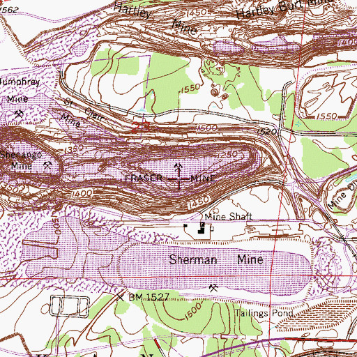 Topographic Map of Fraser Mine, MN