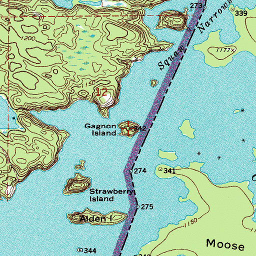 Topographic Map of Gagnon Island, MN