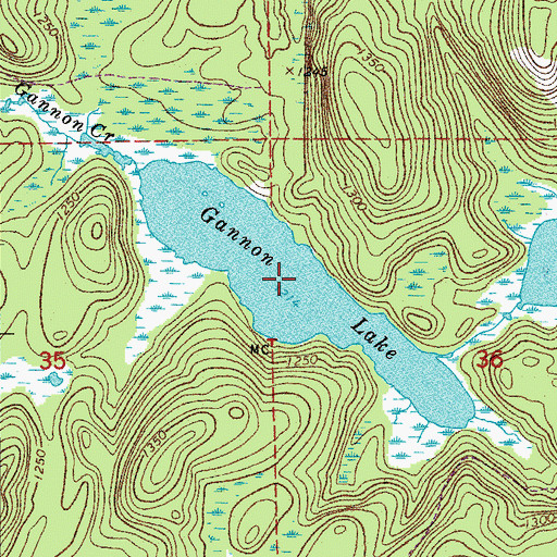 Topographic Map of Gannon Lake, MN