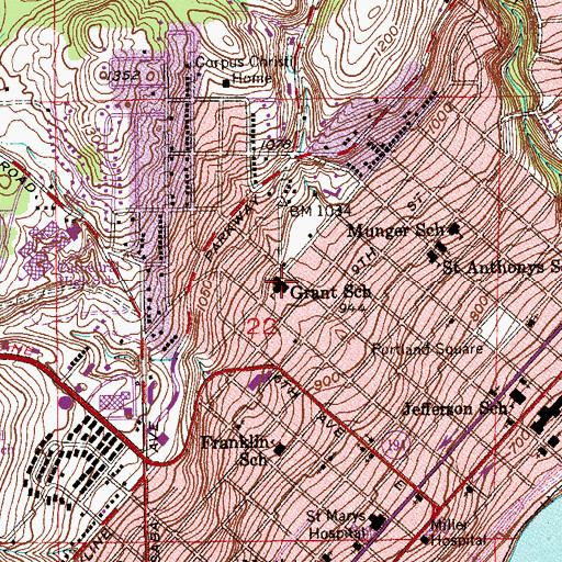 Topographic Map of Grant School, MN