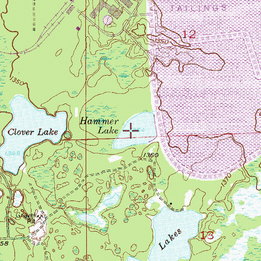 Topographic Map of Hammer Lake, MN