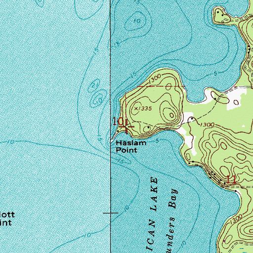 Topographic Map of Haslam Point, MN
