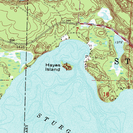 Topographic Map of Hayes Island, MN