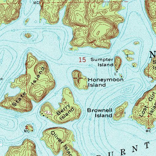 Topographic Map of Honeymoon Island, MN