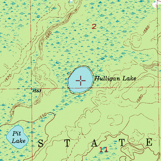 Topographic Map of Hulligan Lake, MN