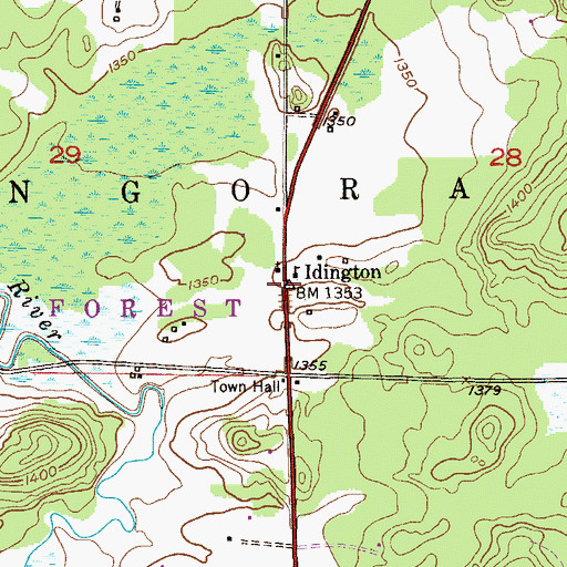 Topographic Map of Idington, MN