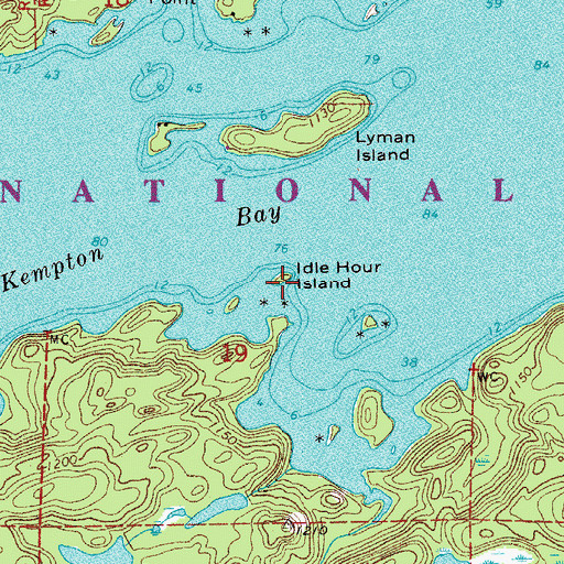 Topographic Map of Idle Hour Island, MN