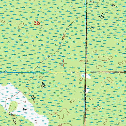 Topographic Map of Island Farm Swamp, MN
