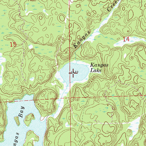 Topographic Map of Kangas Lake, MN
