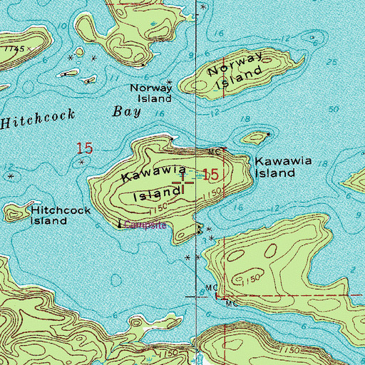 Topographic Map of Kawawia Island, MN