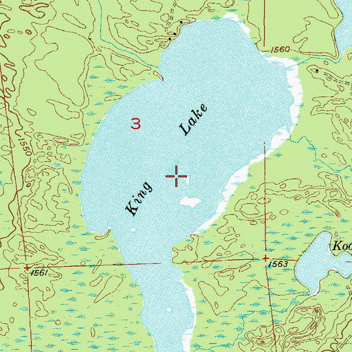 Topographic Map of King Lake, MN