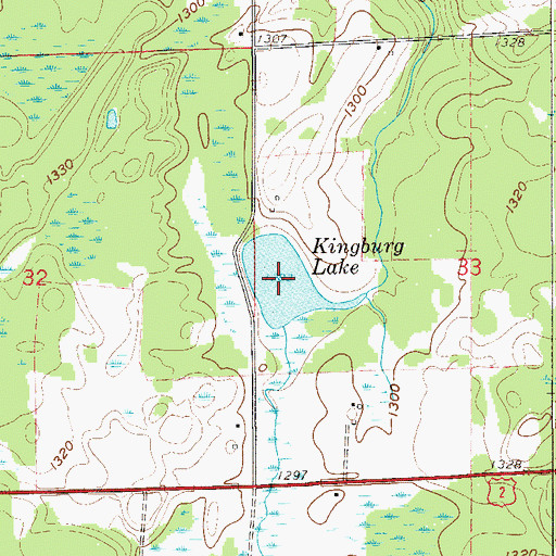 Topographic Map of Kingburg Lake, MN