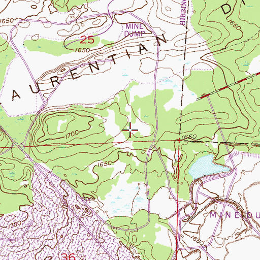 Topographic Map of Lavinia, MN