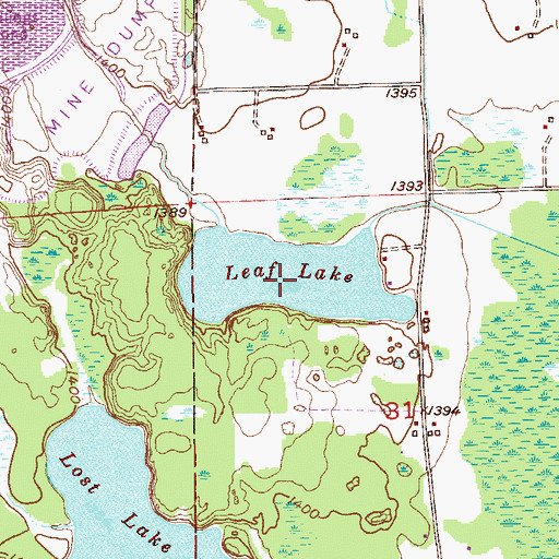 Topographic Map of Leaf Lake, MN
