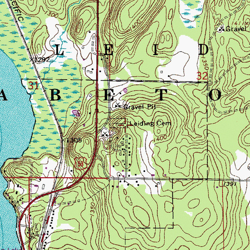 Topographic Map of Leiding Cemetery, MN