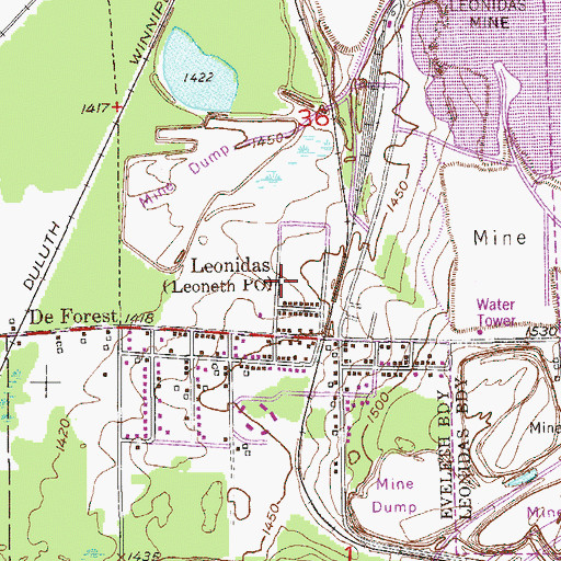 Topographic Map of Leonidas, MN