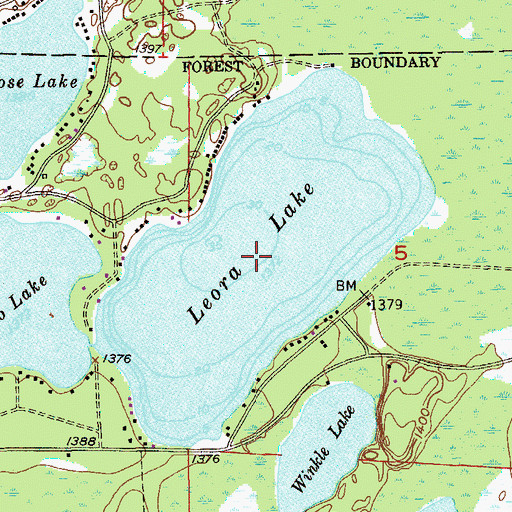 Topographic Map of Leora Lake, MN