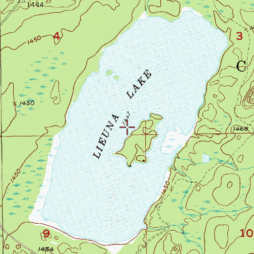 Topographic Map of Lieuna Lake, MN