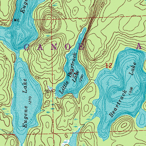Topographic Map of Little Beartrack Lake, MN