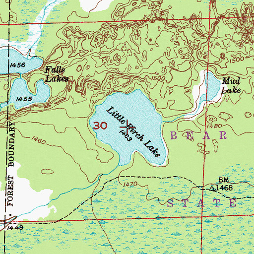 Topographic Map of Little Birch Lake, MN