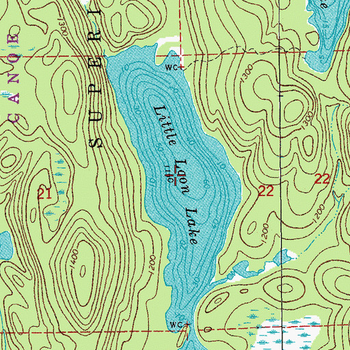 Topographic Map of Little Loon Lake, MN