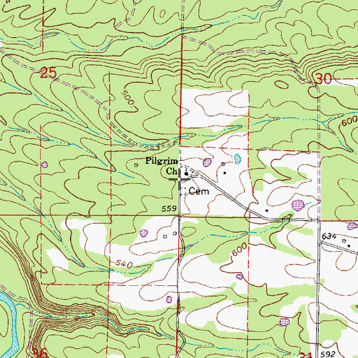 Topographic Map of Arthur, AR