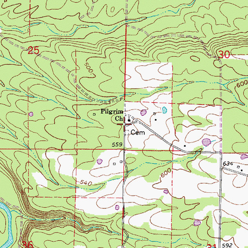Topographic Map of Arthur, AR