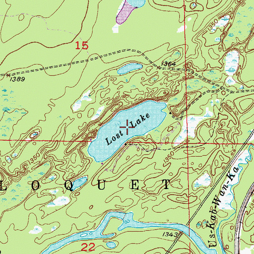 Topographic Map of Lost Lake, MN